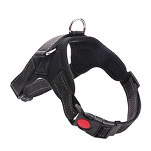 Dog Puppy Harness Pet Control Padded Soft Mesh Walk Collar Safety Strap Vest 6 Colors & 4 Sizes